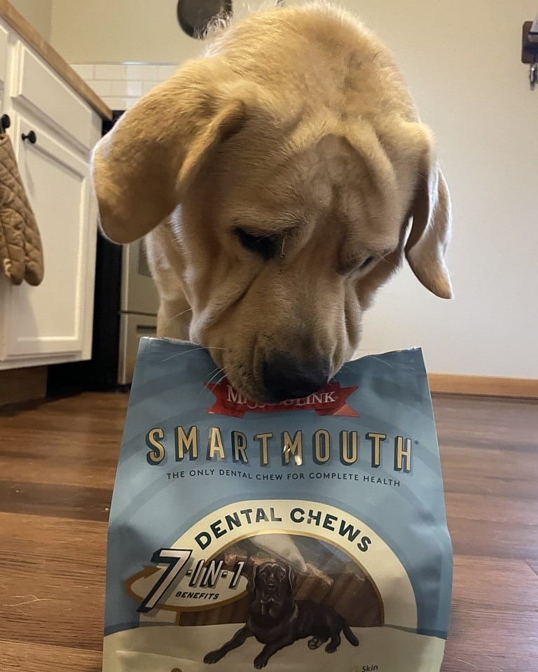 Missing link dog chews best sale