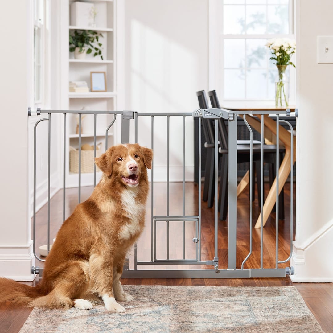 Carlson dog gate best sale