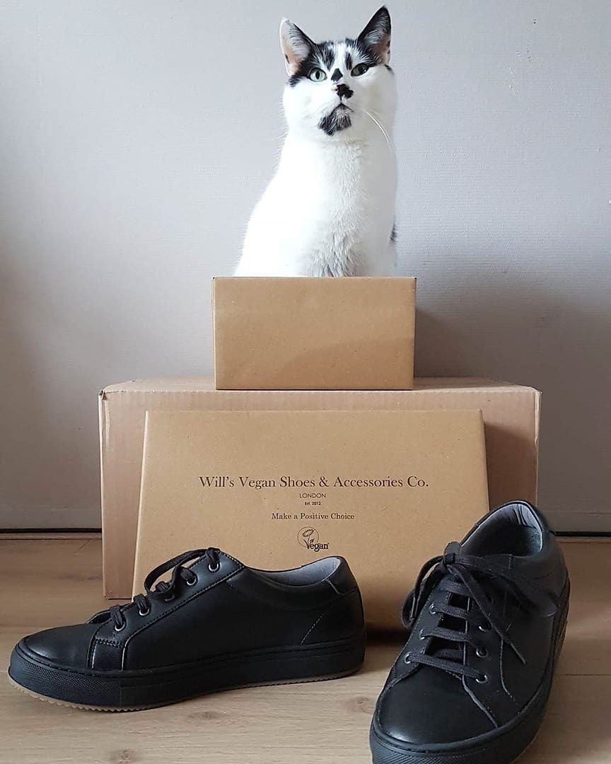 Vegan Men s NY Sneakers Will s Vegan Store